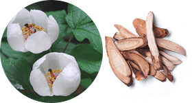 Атоми Хемохим Атоми Хемохим