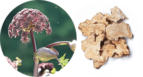 Атоми Хемохим