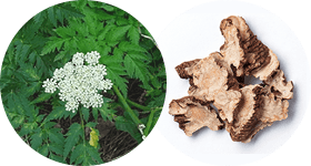 Атоми Хемохим Атоми Хемохим