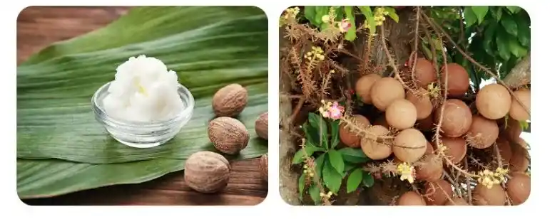 Эмолиенты в составе Атоми Бальзам для рук Масло ши