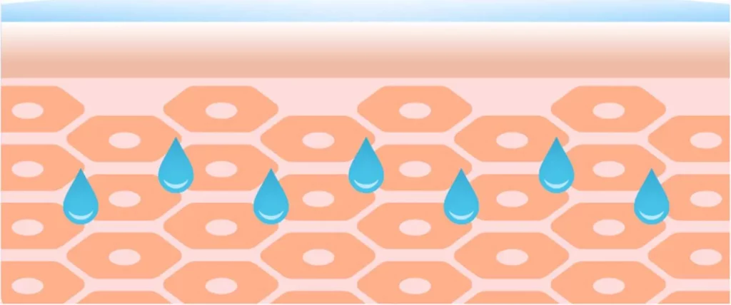 Забота о поврежденном кожном барьере без липкости и жирности с помощью стабилизации содержания