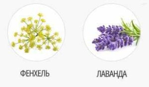 фенхель и лаванда