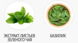 чай и базилик