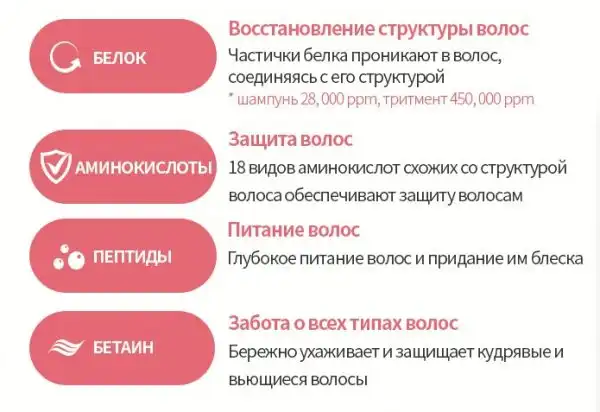 Атоми Интенсивный Протеиновый набор для ухода за волосами