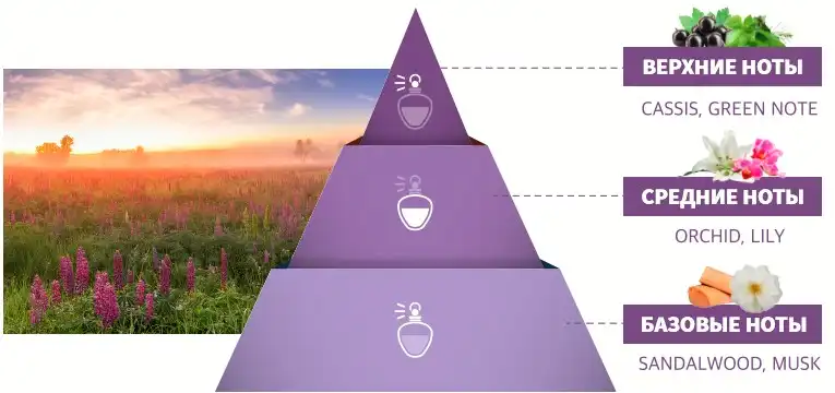 Атоми Интенсивный Протеиновый набор для ухода за волосами Аромат