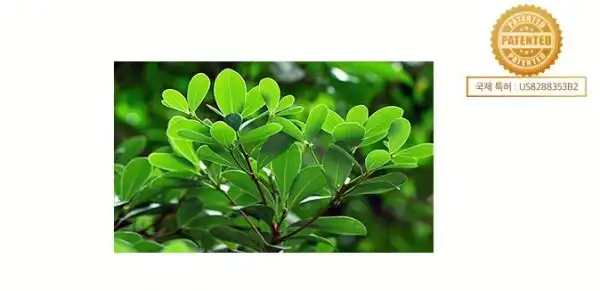 Атоми Интенсивный Протеиновый набор для ухода за волосами