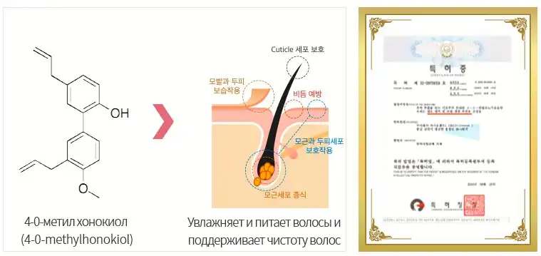 Атоми Интенсивный Протеиновый набор для ухода за волосами