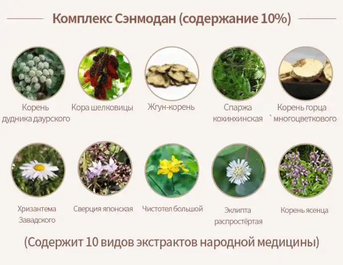 Атоми Хербал Шампунь состав