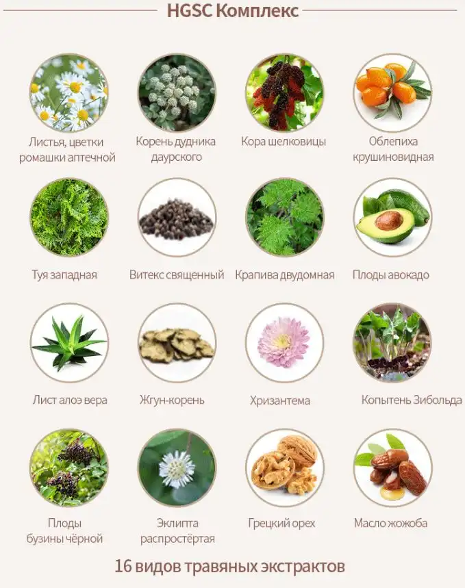 Атоми Хербал Шампунь состав