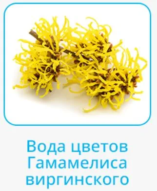Экстракт гамамелиса виргинского